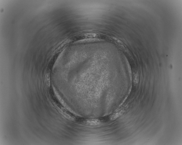 X0000073890666200609011654