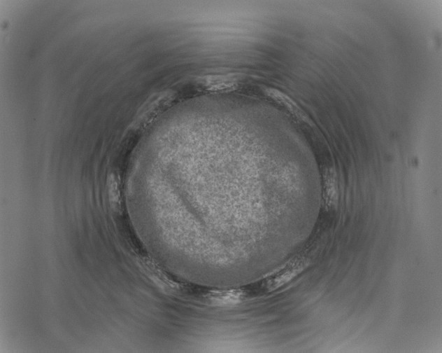 X0000073890667200609011654