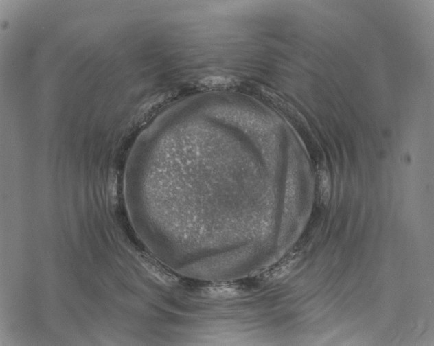 X0000073890668200609011654