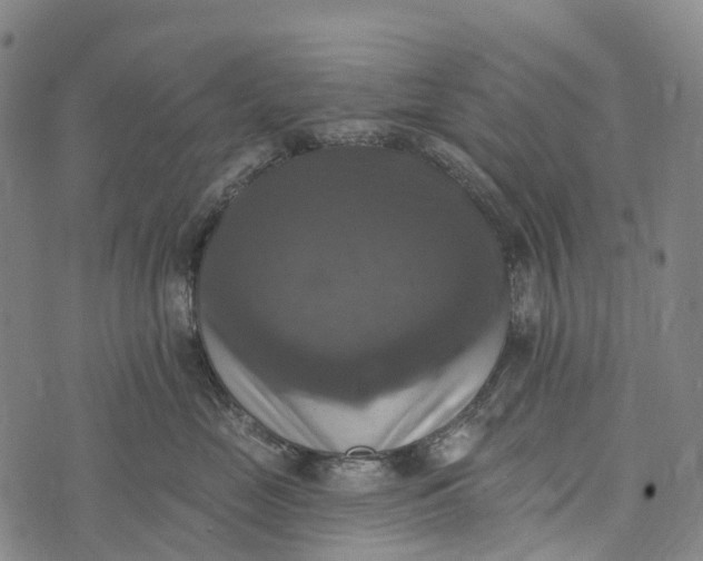 X0000073890669200609011654