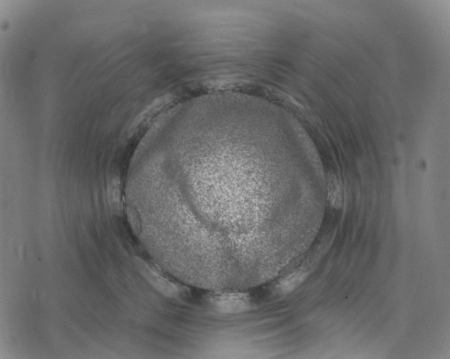 X0000073890670200609011654