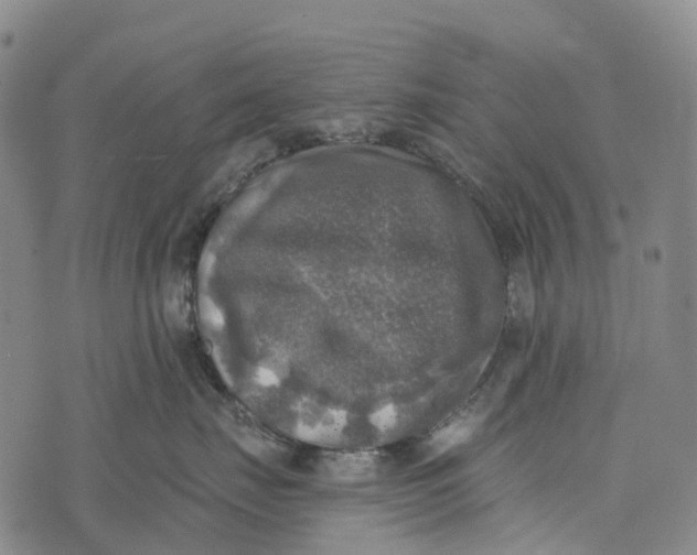 X0000073890671200609011654