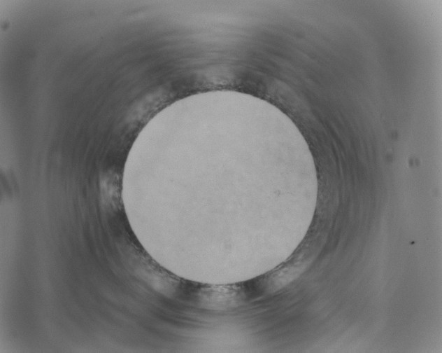 X0000073890672200609011654