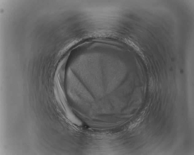 X0000073890673200609011654