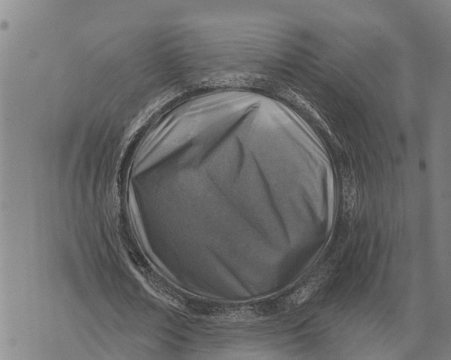 X0000073890674200609011654