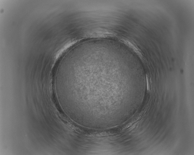 X0000073890675200609011654