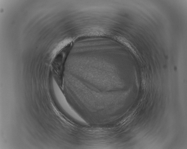 X0000073890677200609011654