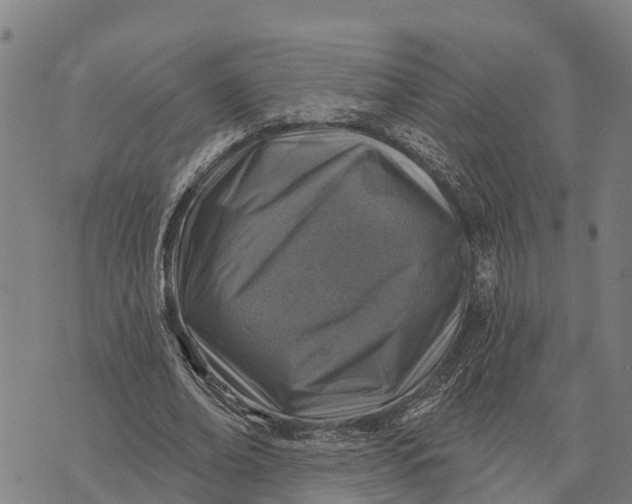 X0000073890678200609011654