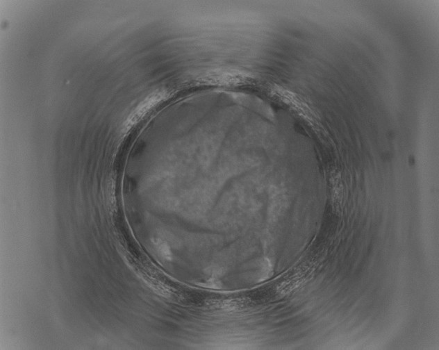 X0000073890679200609011654