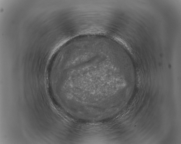 X0000073890680200609011654