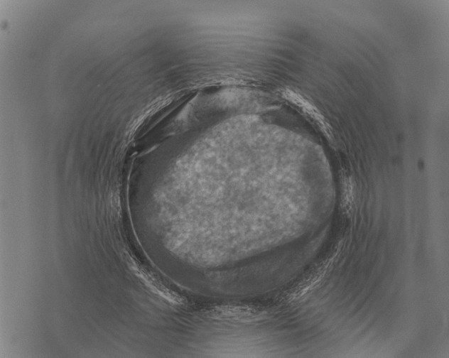 X0000073890681200609011654