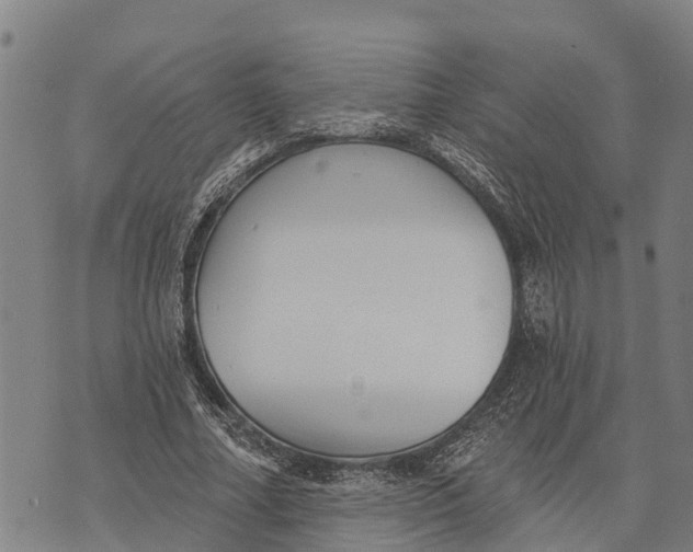 X0000073890682200609011654