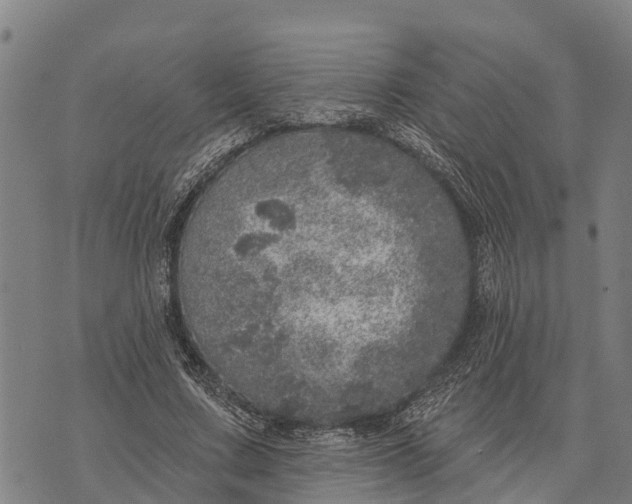 X0000073890683200609011654