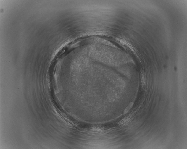 X0000073890684200609011654