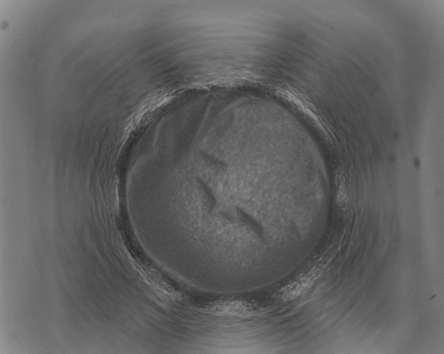 X0000073890685200609011654