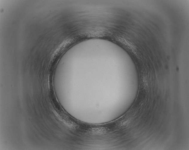 X0000073890686200609011653