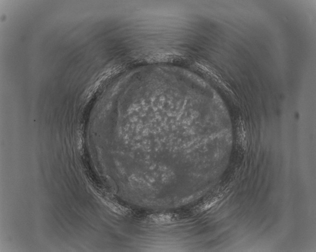 X0000073890687200609011653