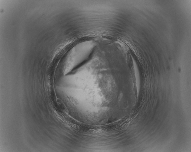 X0000073890688200609011653