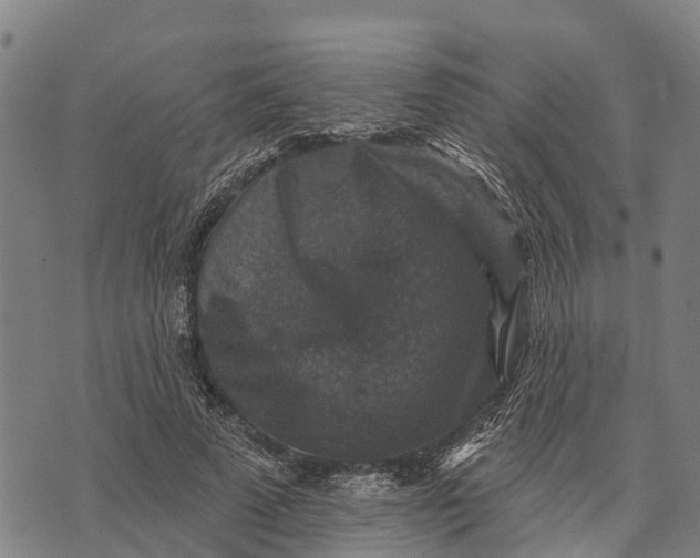 X0000073890689200609011653