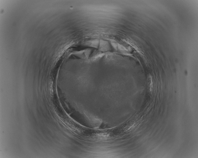 X0000073890692200609011653