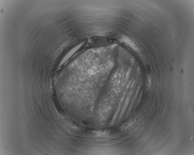 X0000073890693200609011653