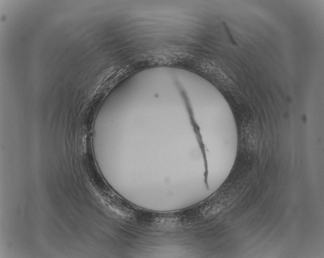 X0000073890694200609011653