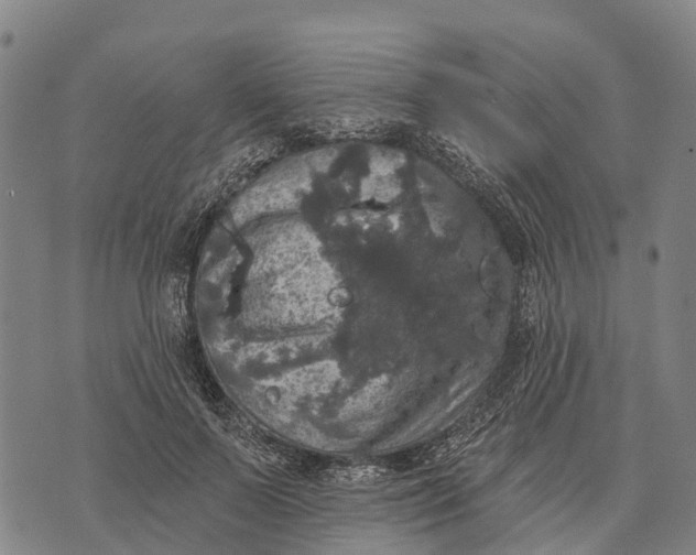 X0000073890695200609011653