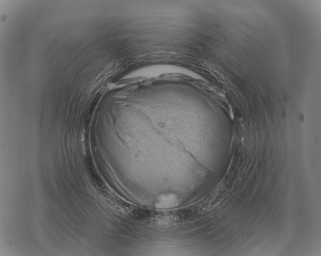 X0000073890696200609011653