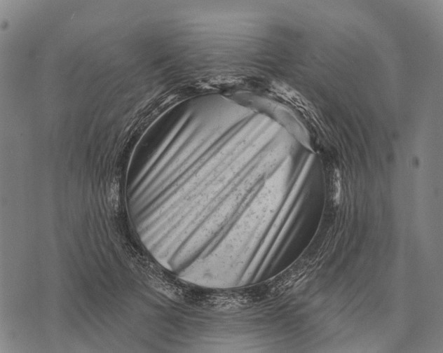 X0000073890697200609011653