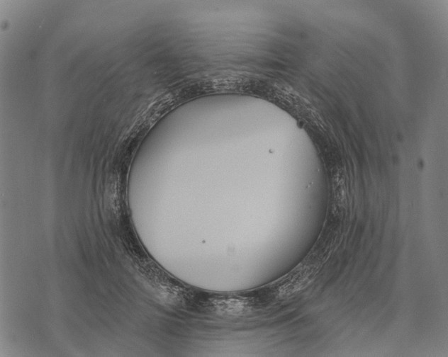 X0000073890698200609011653