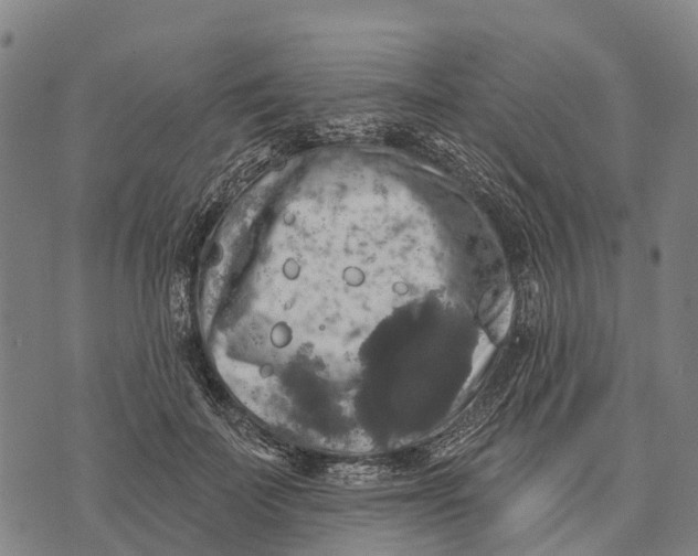 X0000073890699200609011653