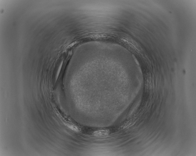 X0000073890700200609011653