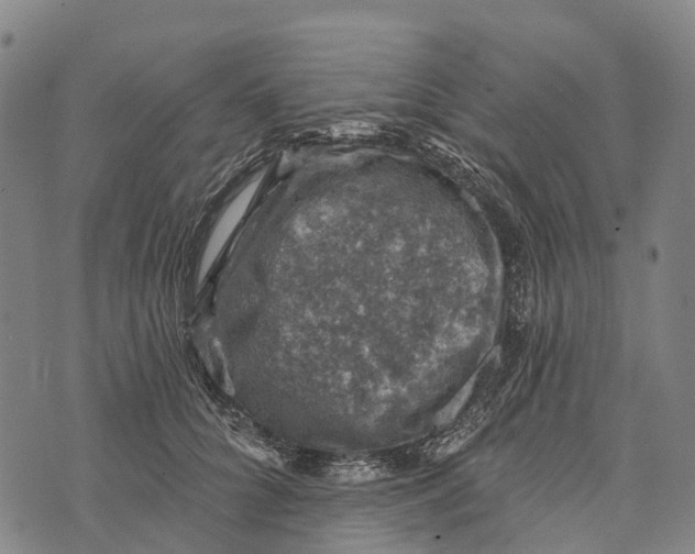 X0000073890704200609011653