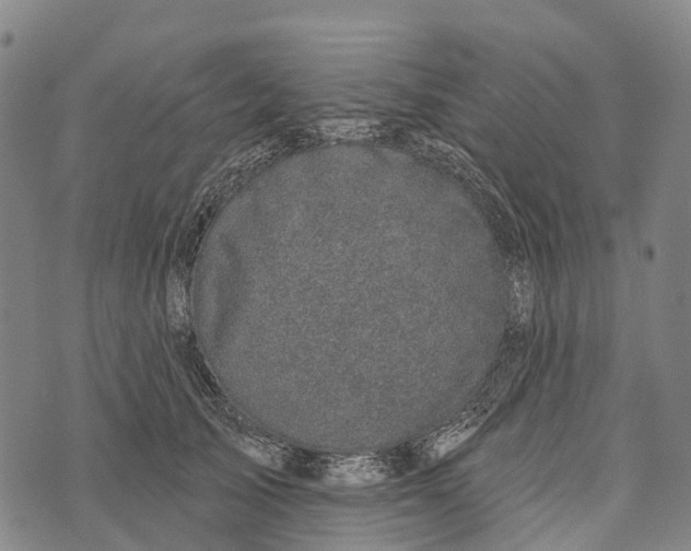 X0000073890705200609011653