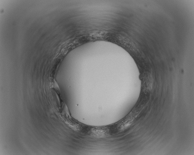 X0000073890706200609011653