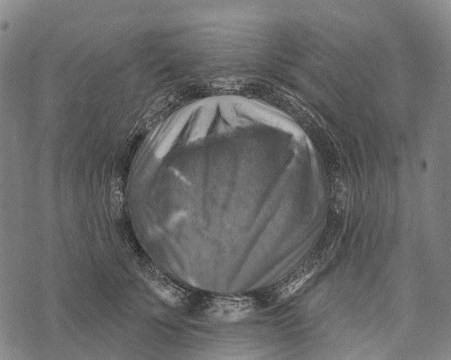 X0000073890707200609011653