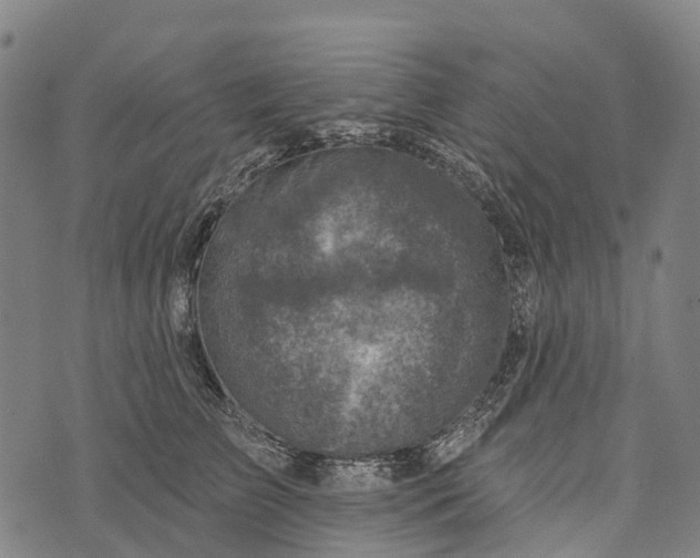 X0000073890709200609011653