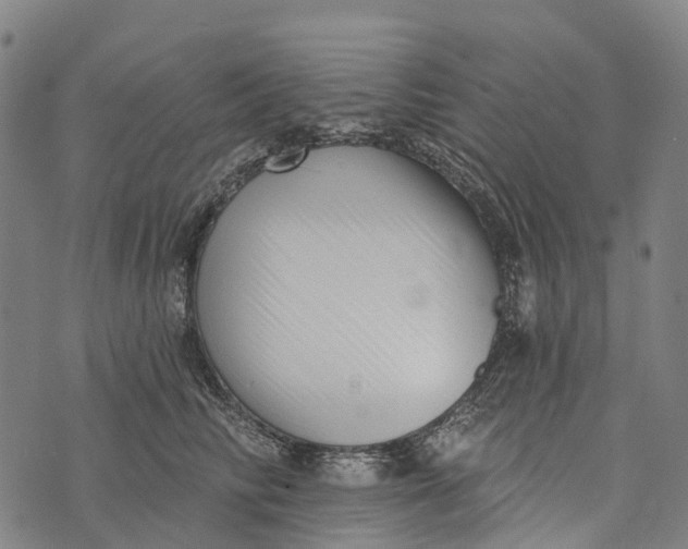 X0000073890710200609011653