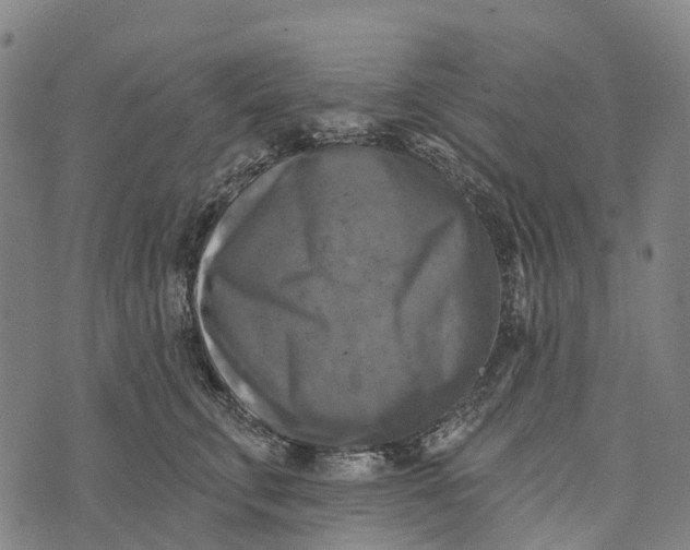 X0000073890711200609011653