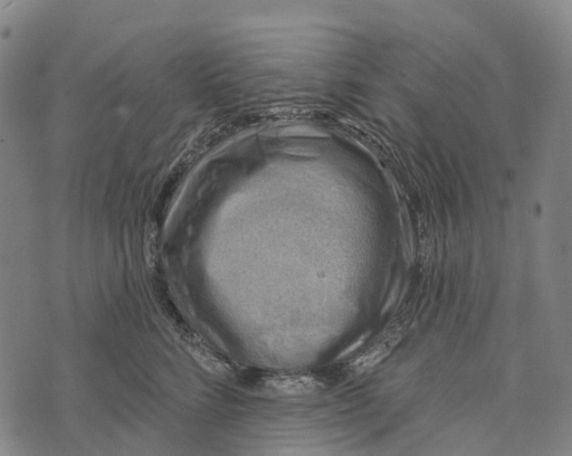 X0000073890712200609011653