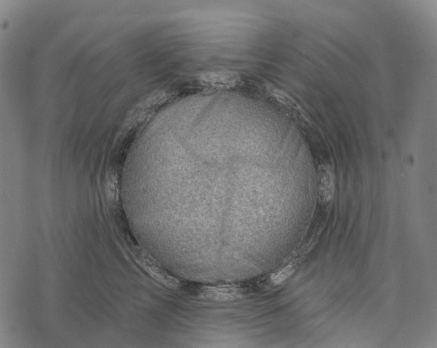 X0000073890713200609011653