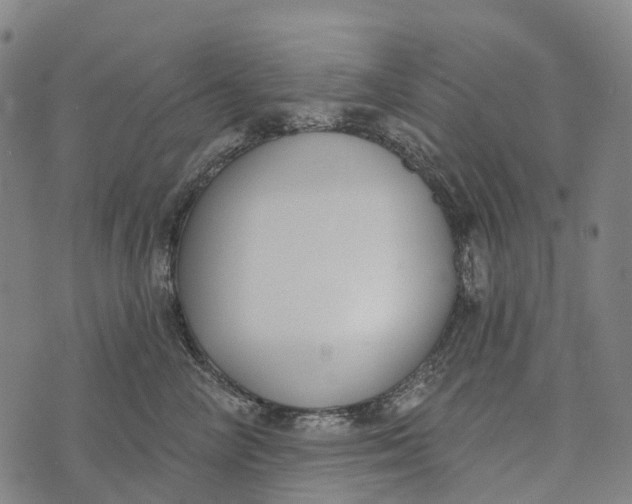 X0000073890714200609011653