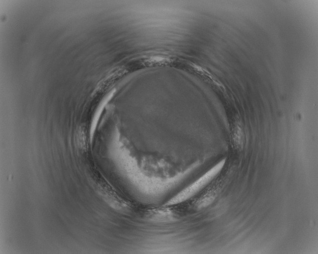 X0000073890715200609011653