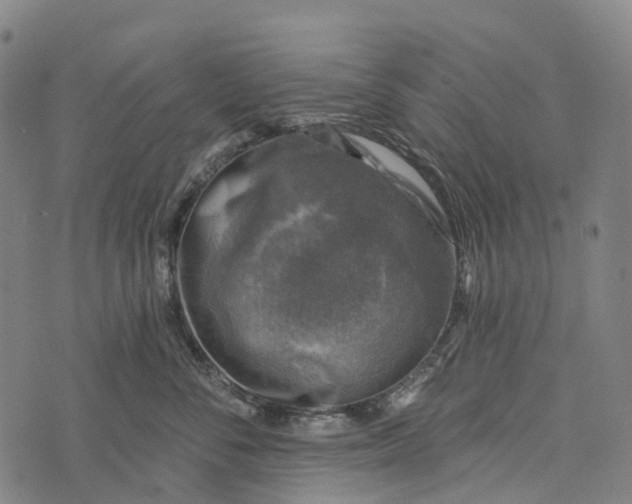 X0000073890716200609011653