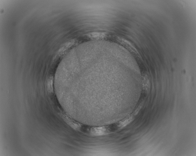 X0000073890717200609011653