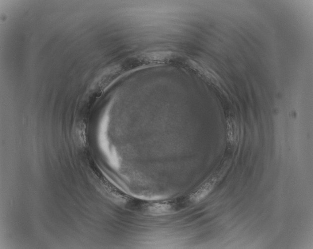 X0000073890718200609011653