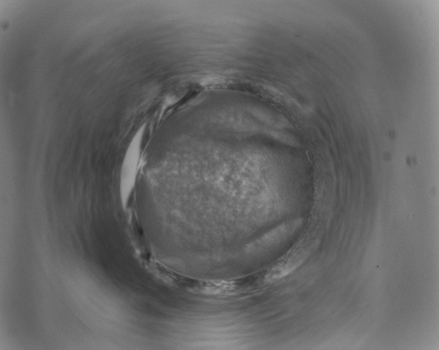 X0000073890720200609011653