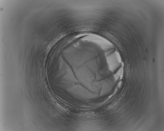 X0000073890721200609011652