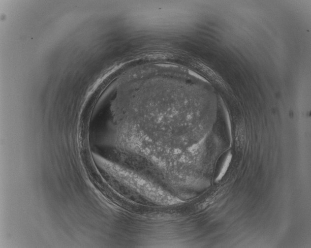 X0000073890722200609011652