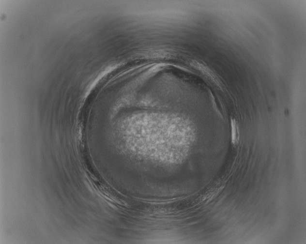 X0000073890723200609011652